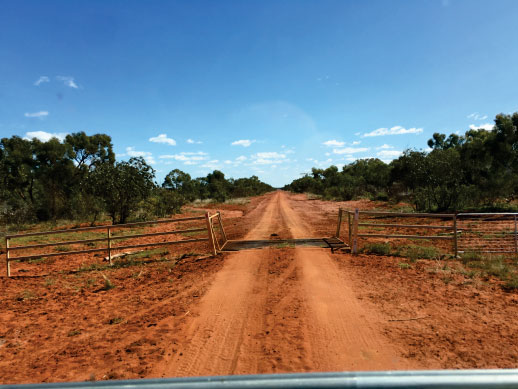 On the Road in Outback Queensland